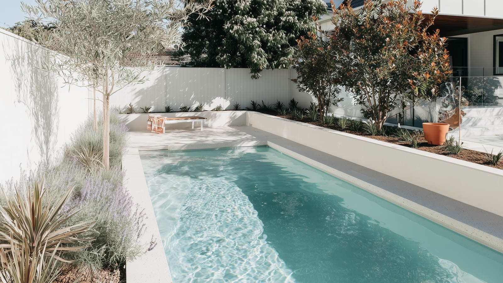 A slim, modern courtyard pool with white rendered walls and low planting